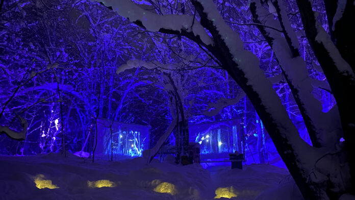ネイキッド、北海道 定山渓の銀世界に幻想的な没入型アートのメイン画像