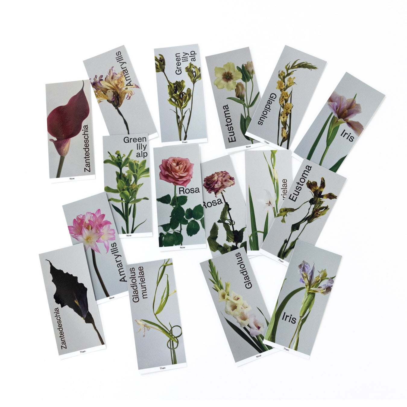 【Lurf MUSEUM】フラワークリイエイター篠崎恵美/edenworksによるインスタレーションエキシビション「Now/Then」を2023年2月10日(金)よりルーフミュージアム2Fにて開催。のサブ画像13_ラベルステッカーセット税込1,980円 