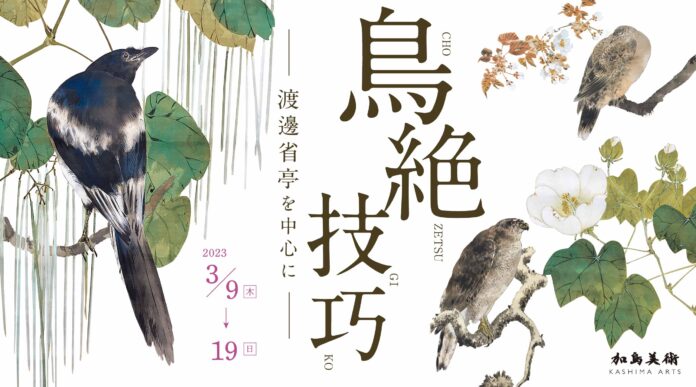 花鳥画が一堂に会する「鳥絶技巧 ―渡邊省亭を中心に―」のメイン画像