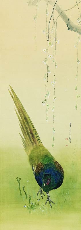 花鳥画が一堂に会する「鳥絶技巧 ―渡邊省亭を中心に―」のサブ画像3_渡邊省亭「糸さくらに雉子」