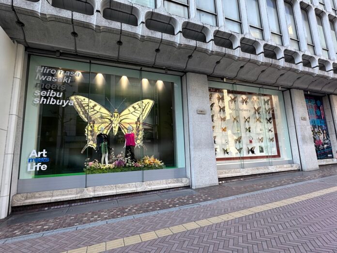 アーティスト岩崎広大による唯一無二の昆虫アートが西武渋谷店のショーウインドーに登場のメイン画像