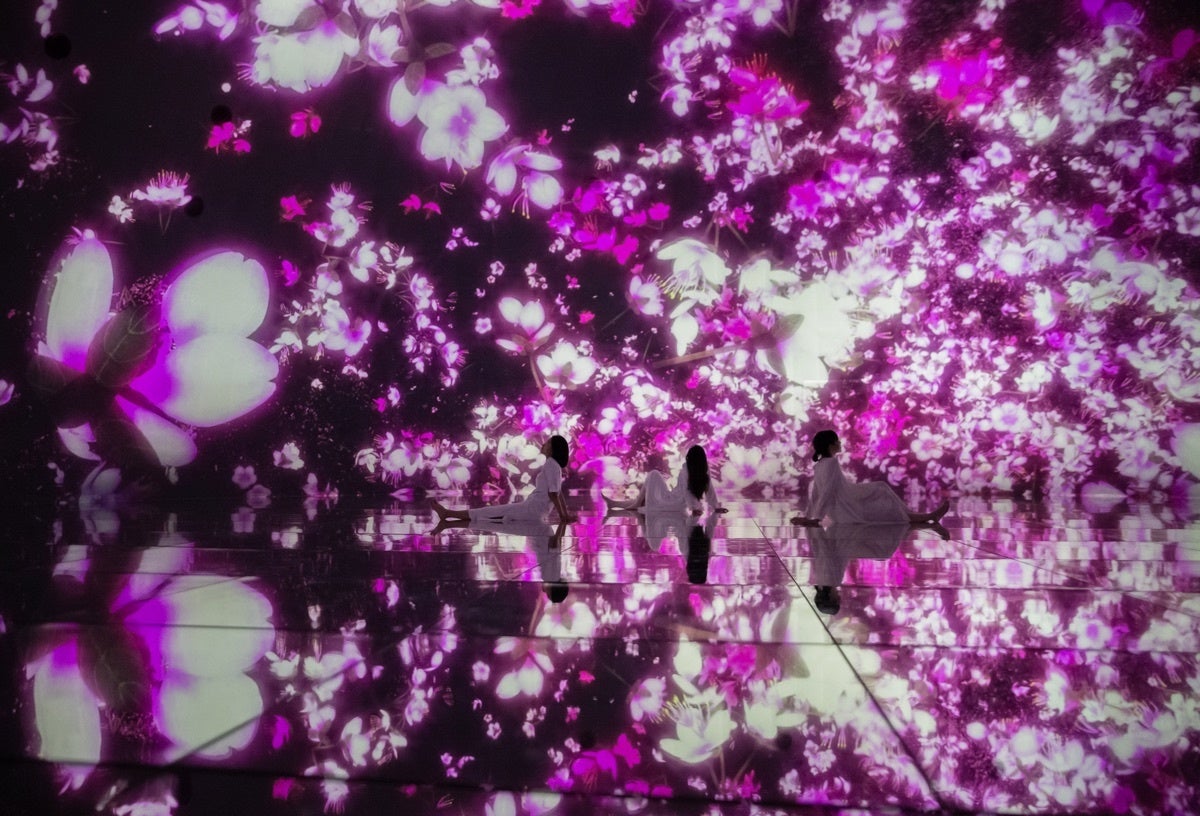 チームラボプラネッツ（東京・豊洲）、3月より【桜】が咲き渡る春限定の作品空間に。のサブ画像1_チームラボ《Floating in the Falling Universe of Flowers》©チームラボ