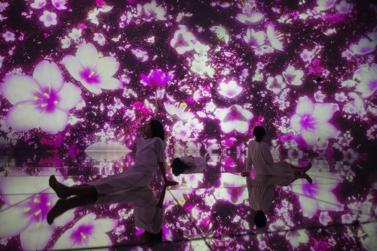 チームラボプラネッツ（東京・豊洲）、3月より【桜】が咲き渡る春限定の作品空間に。のサブ画像2_チームラボ《Floating in the Falling Universe of Flowers》©チームラボ