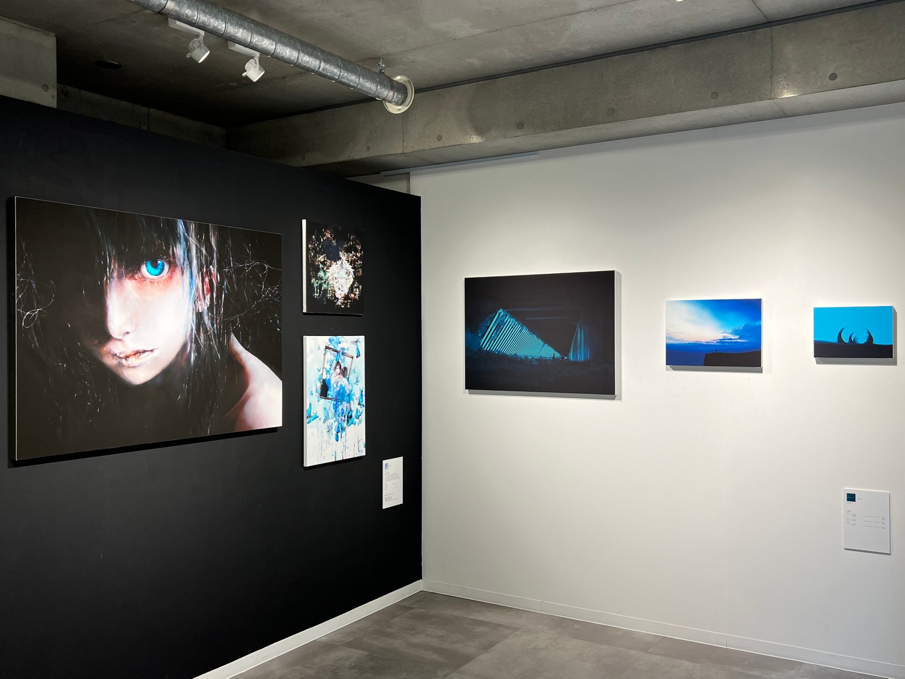 新時代のクリエイターのための美術展「出現画廊」のコンテストに『Anicoremix Gallery賞』が決定！のサブ画像5