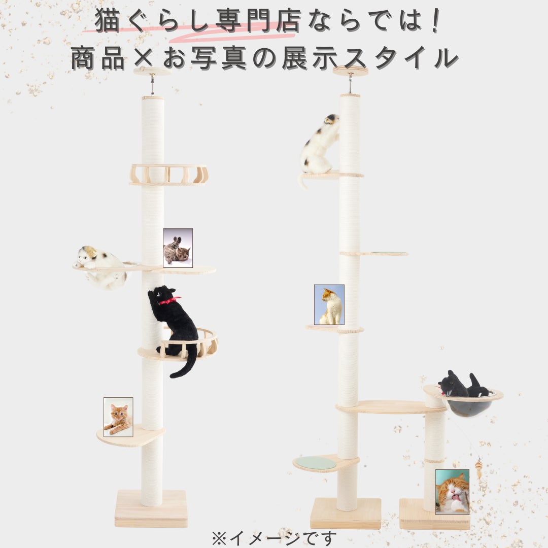 2月22日の「猫の日」から4日間はネコ祭り♪猫グッズ大集合の「にゃんダフルFestival2023」開催！のサブ画像6