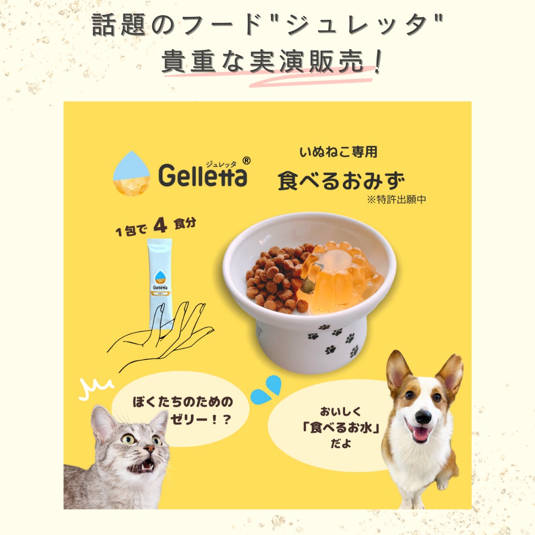 2月22日の「猫の日」から4日間はネコ祭り♪猫グッズ大集合の「にゃんダフルFestival2023」開催！のサブ画像7