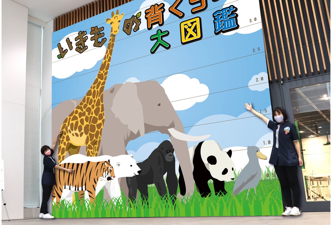 港区立みなと科学館 2023春の企画展開催決定！「いきもの大図鑑」のサブ画像4_背くらべ　※画像はイメージです。