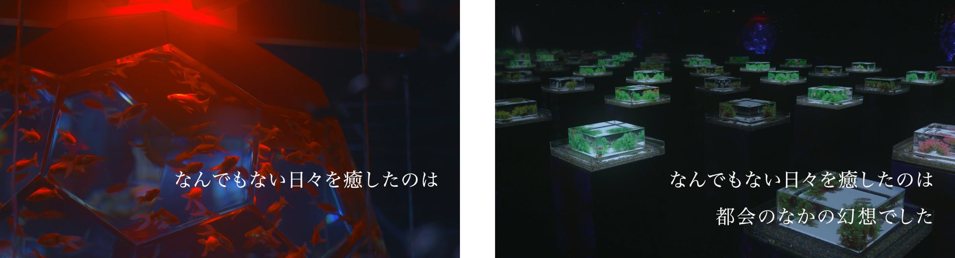 アートアクアリウム美術館 GINZA　新CM「ときを忘れる、ひとときを。」2月1日より公開のサブ画像2