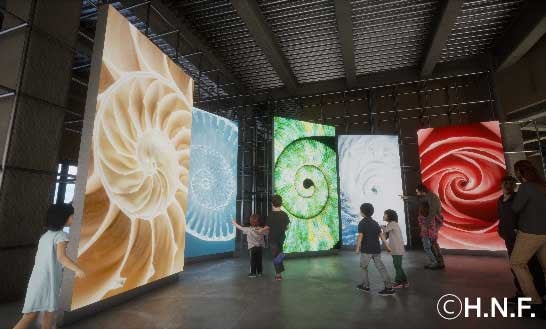 ES CON FIELD HOKKAIDO の革新的ミュージアム 「tower eleven museum」 展覧会名「WHAT IS LIFE展～いのちってなんだろう～」に決定のサブ画像2