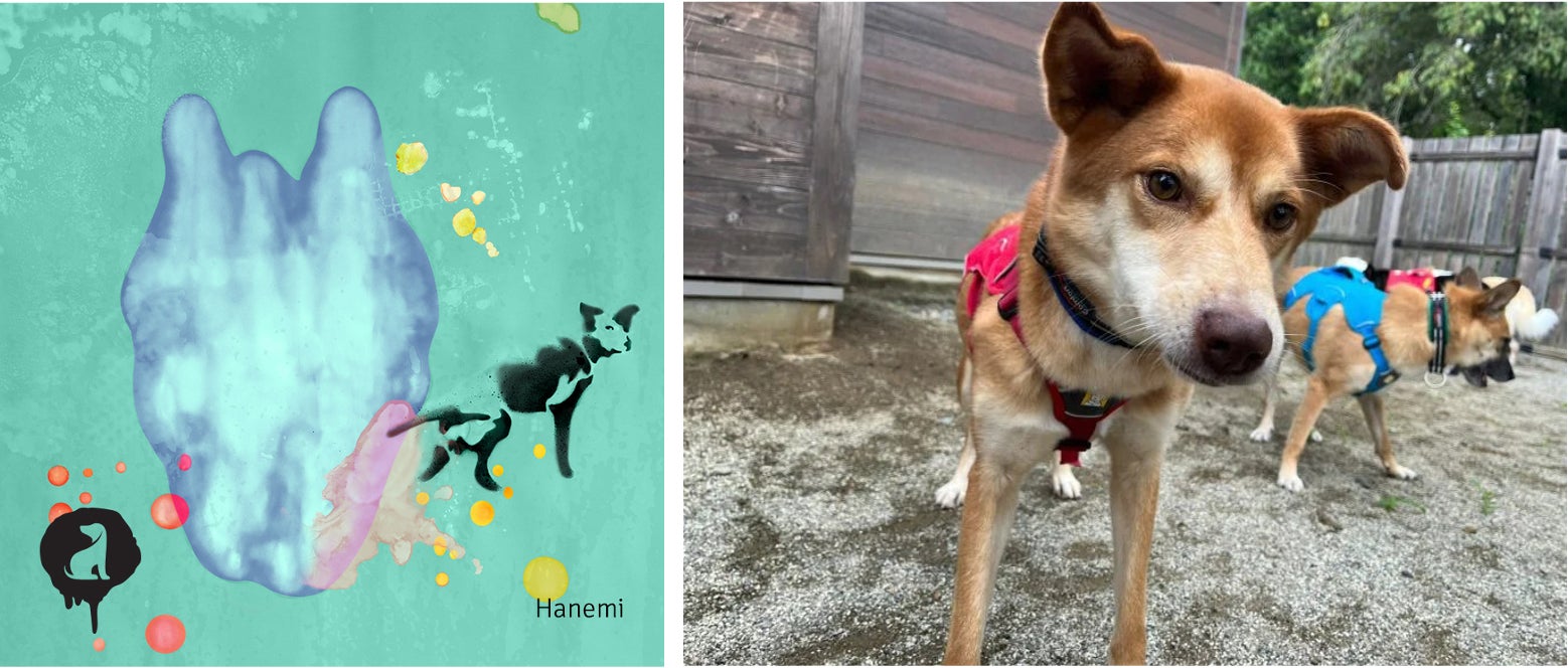 犬が自分のおしっこで作ったアートを展示⁉“保護犬の保護犬による保護犬のためのアート展” 「We are Barksy.」3月19日(日)開催！のサブ画像2