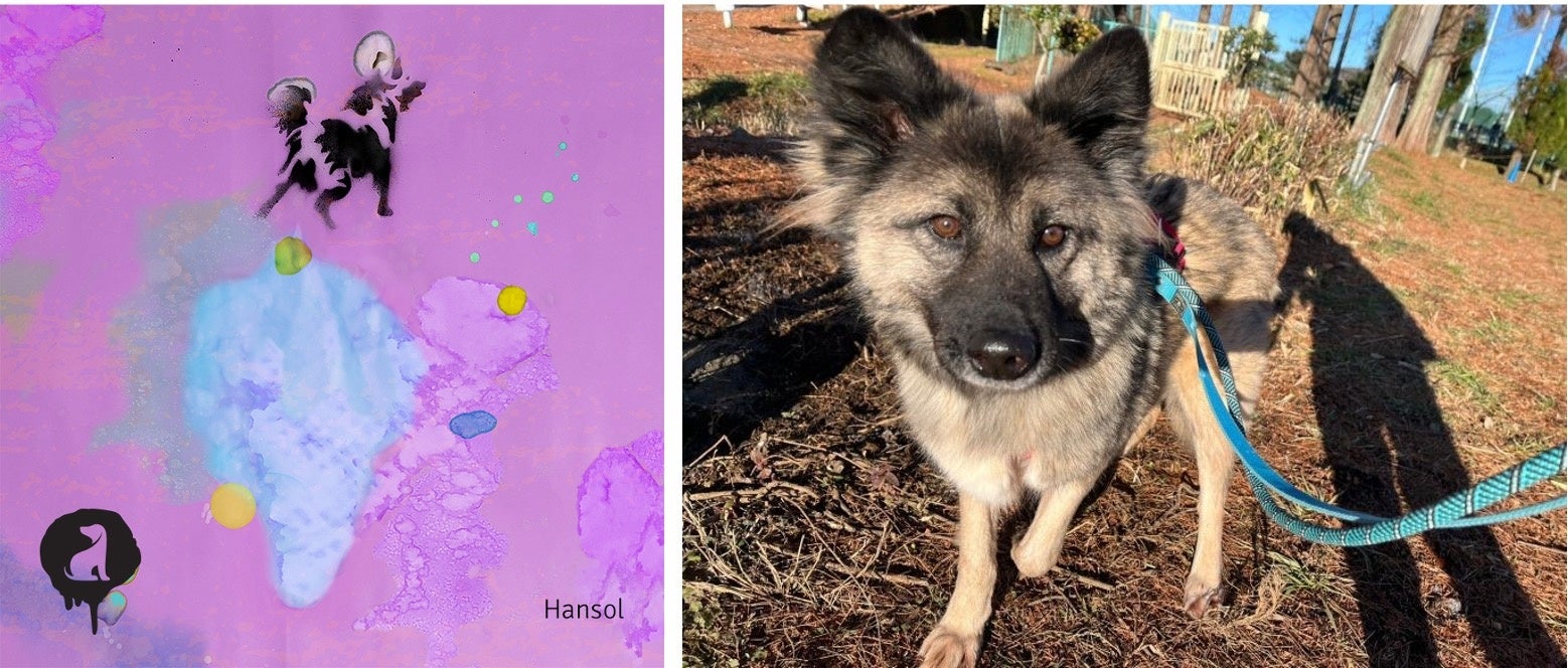 犬が自分のおしっこで作ったアートを展示⁉“保護犬の保護犬による保護犬のためのアート展” 「We are Barksy.」3月19日(日)開催！のサブ画像3