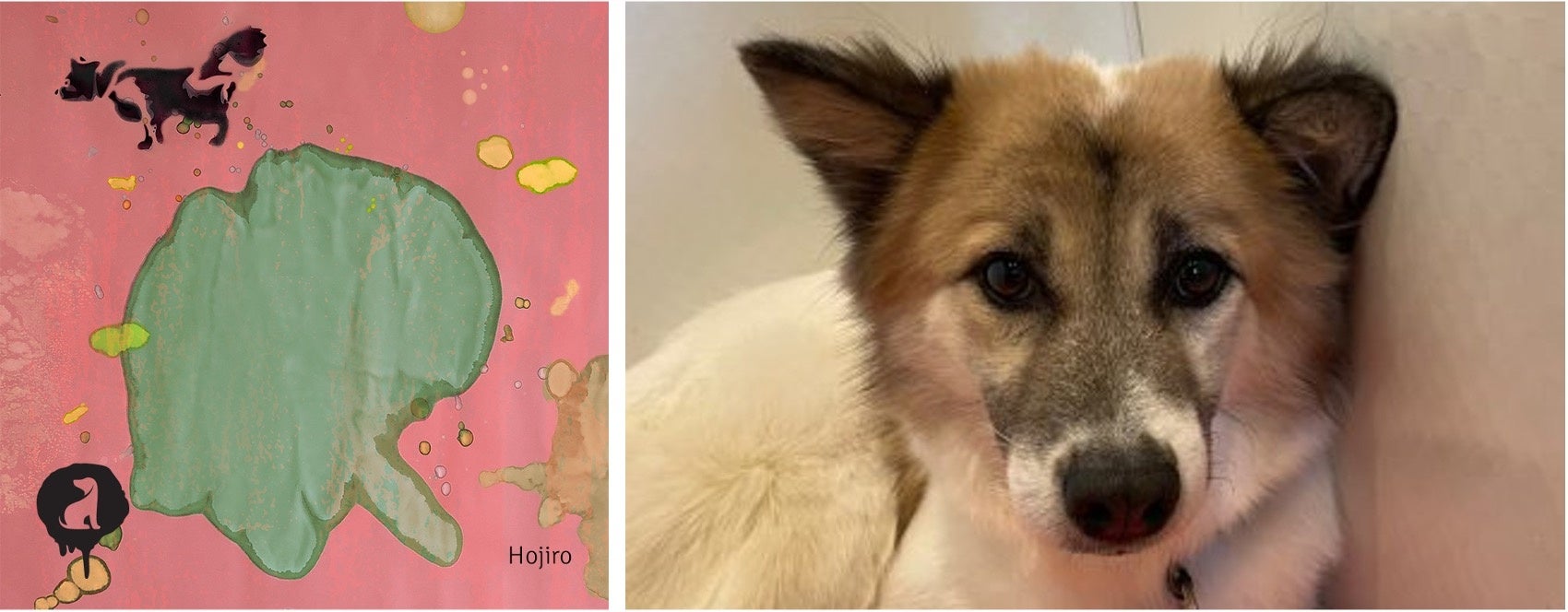 犬が自分のおしっこで作ったアートを展示⁉“保護犬の保護犬による保護犬のためのアート展” 「We are Barksy.」3月19日(日)開催！のサブ画像4