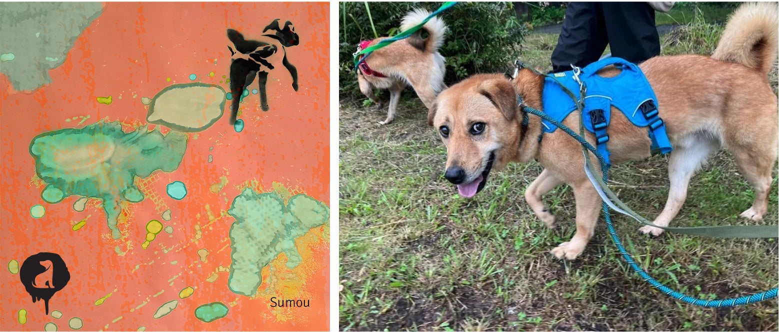 犬が自分のおしっこで作ったアートを展示⁉“保護犬の保護犬による保護犬のためのアート展” 「We are Barksy.」3月19日(日)開催！のサブ画像5