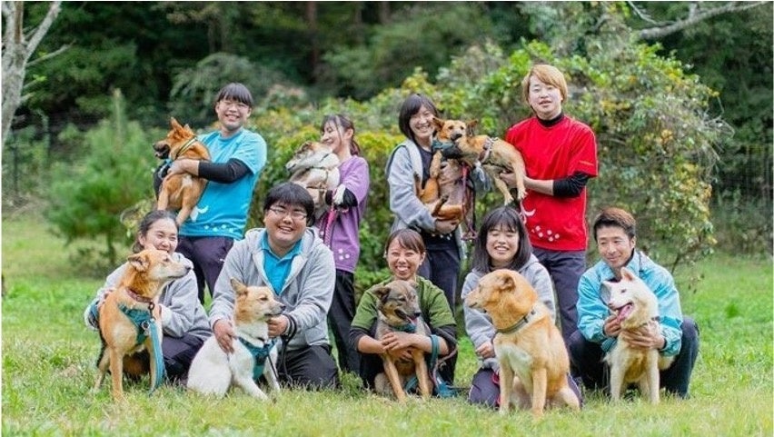 犬が自分のおしっこで作ったアートを展示⁉“保護犬の保護犬による保護犬のためのアート展” 「We are Barksy.」3月19日(日)開催！のサブ画像6
