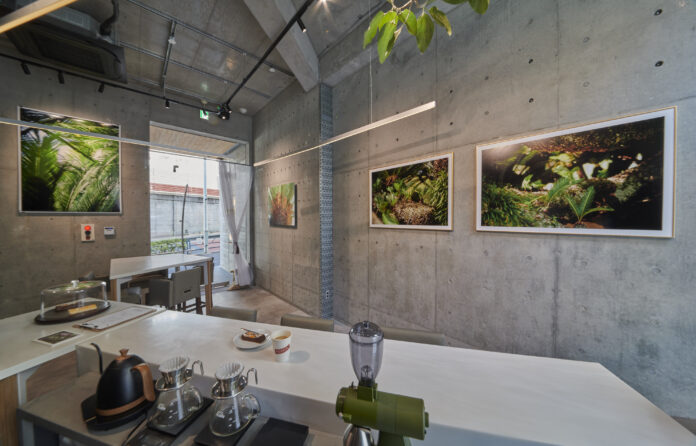 アートギャラリーを併設したカフェ、「GALLERY MERROW CAFE」が東京、西麻布にオープン！のメイン画像