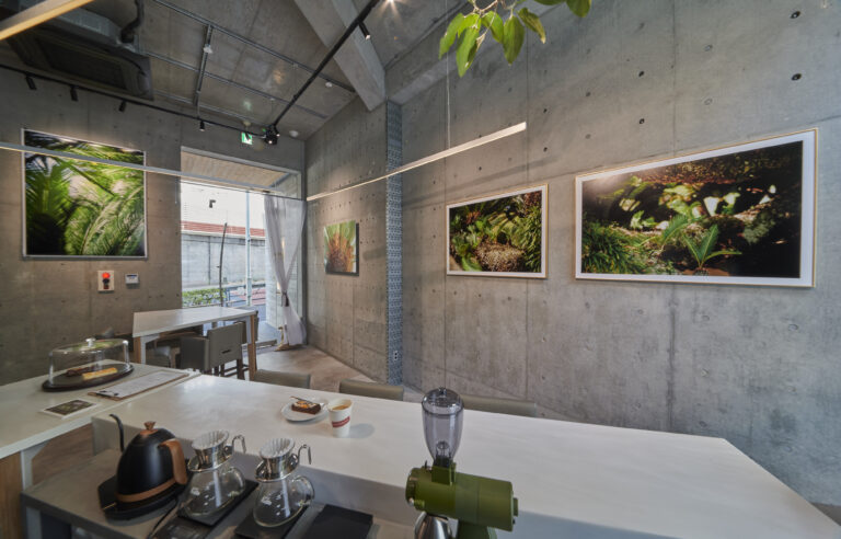 アートギャラリーを併設したカフェ、「GALLERY MERROW CAFE」が東京、西麻布にオープン！のメイン画像