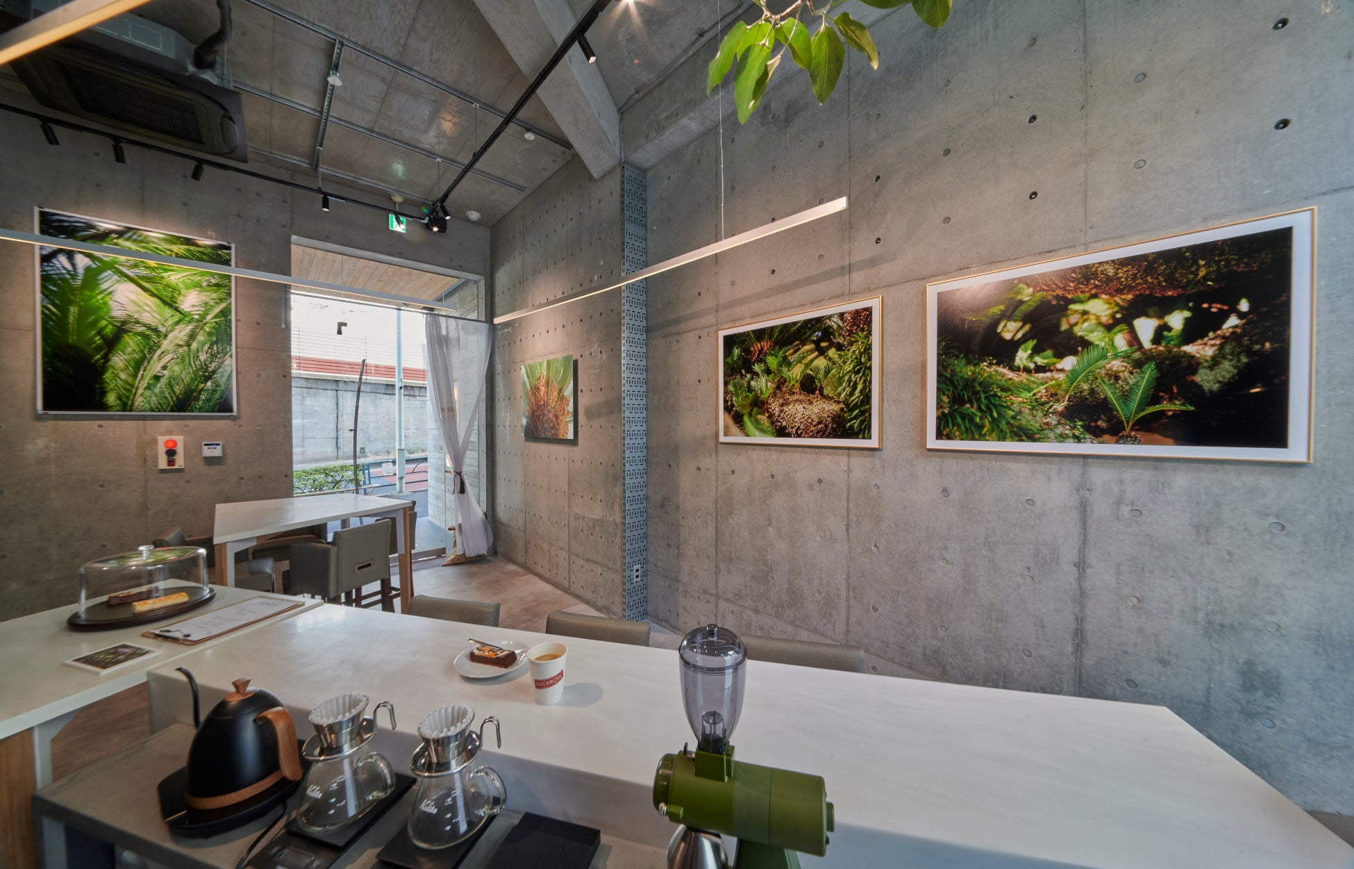 アートギャラリーを併設したカフェ、「GALLERY MERROW CAFE」が東京、西麻布にオープン！のサブ画像1