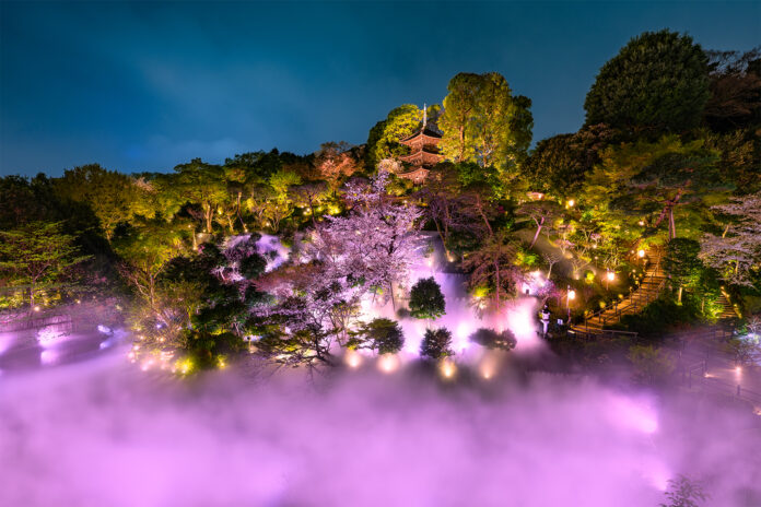 【ホテル椿山荘東京】オリジナルデザインの桜の花々が幻想的に映しだされる庭園内の新スポット「夜桜雲海と桜小路～光のアート～」を3月3日より公開のメイン画像