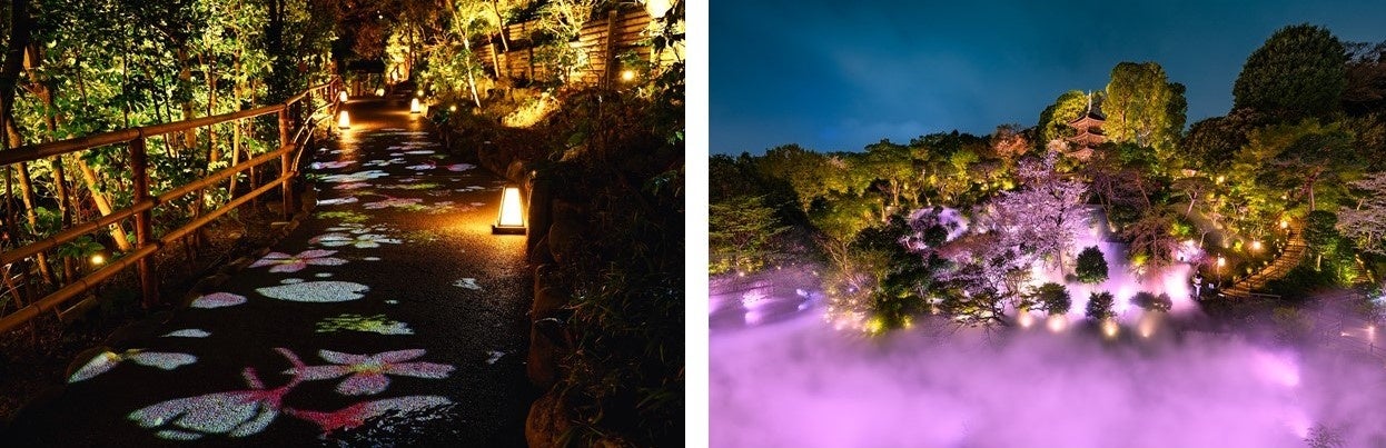 【ホテル椿山荘東京】オリジナルデザインの桜の花々が幻想的に映しだされる庭園内の新スポット「夜桜雲海と桜小路～光のアート～」を3月3日より公開のサブ画像1