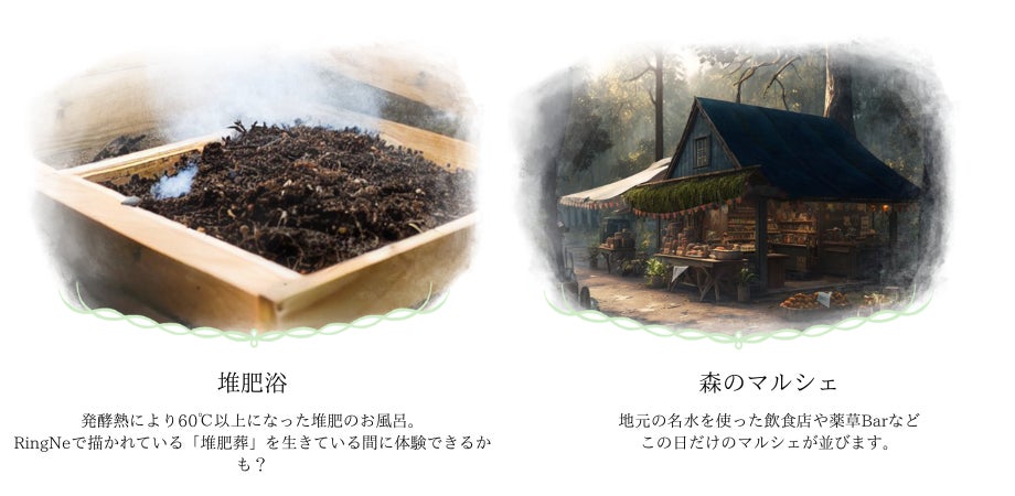 植物と音楽の新たな祝祭「RingNe Festival」南足柄市「夕陽の滝」で開催決定のサブ画像6