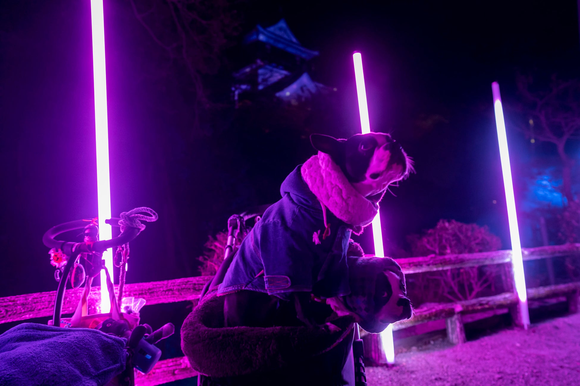 一旗プロデュース「岡崎公園デジタルライトアップ2023」の公式記録映像（LEDバー編）を公開。文化庁日本博「岡崎デジタルアートナイトフェスティバル」サブプログラム。のサブ画像11