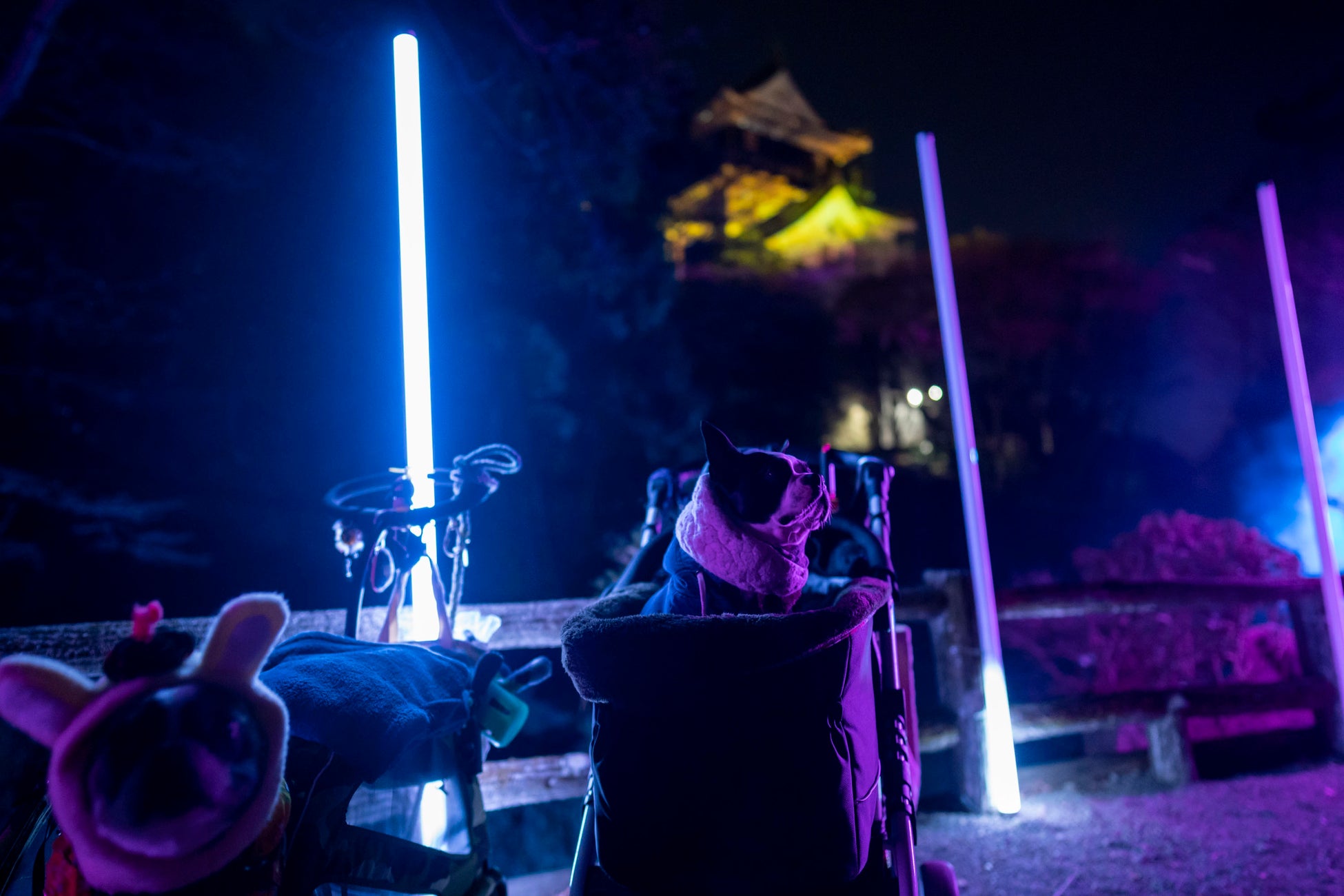 一旗プロデュース「岡崎公園デジタルライトアップ2023」の公式記録映像（LEDバー編）を公開。文化庁日本博「岡崎デジタルアートナイトフェスティバル」サブプログラム。のサブ画像9