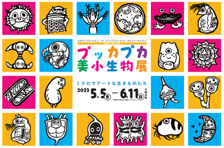 ギャラリー展「プッカプカ 『美』 小生物展」を開催します！のメイン画像