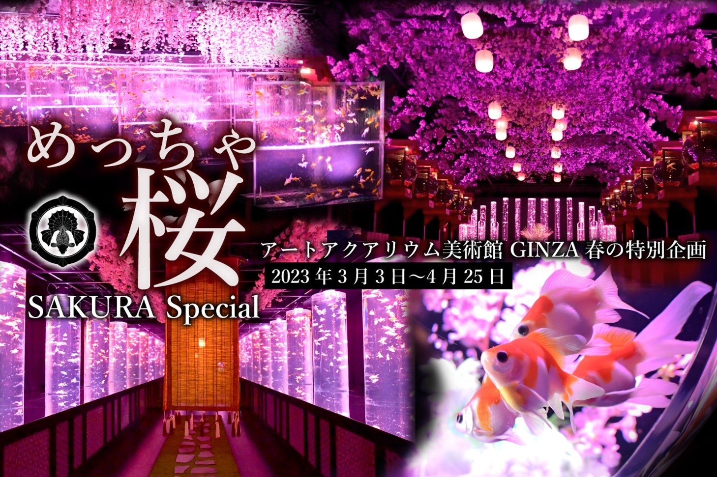 “金魚×桜”グッズ＆スイーツ限定コレクション　アートアクアリウムのミュージアムショップ で“めっちゃ桜”な限定グッズ続々登場！のサブ画像8