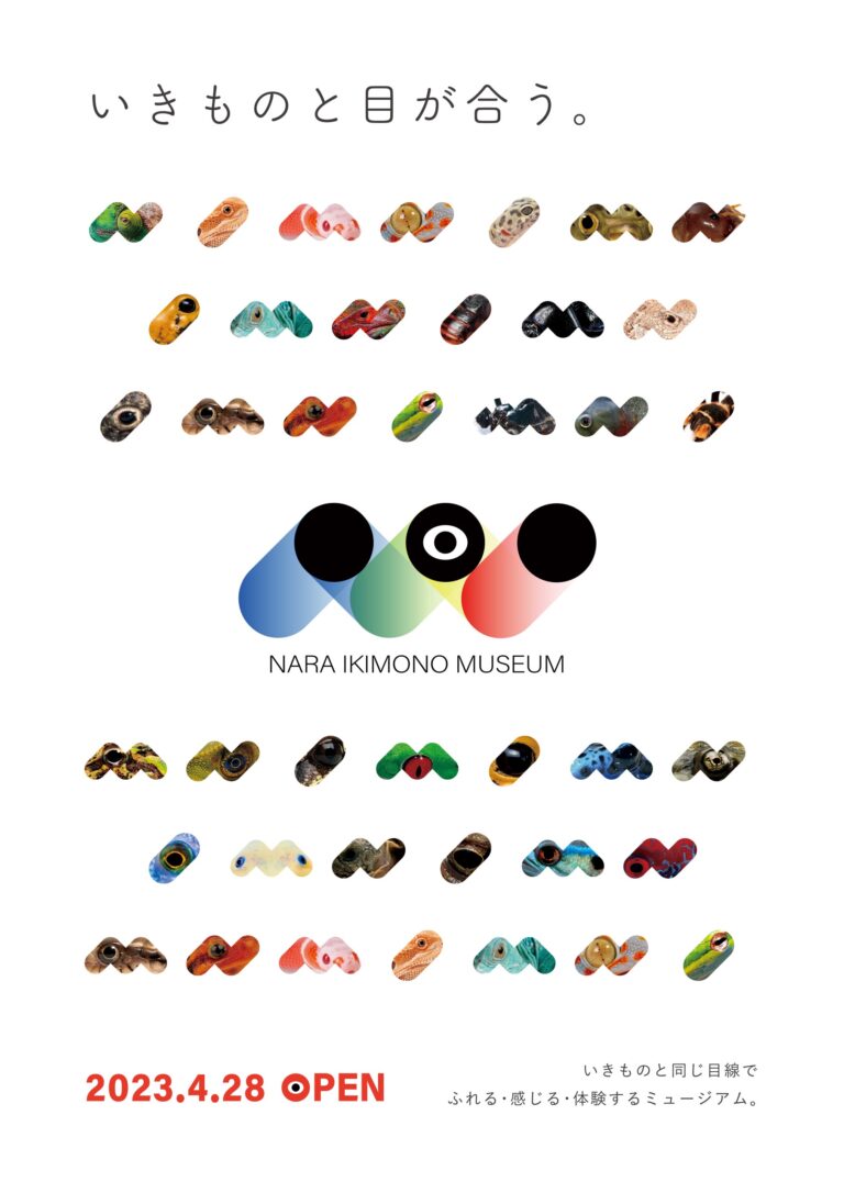 100種の爬虫類・魚類・両生類が大集合！「NARA IKIMONO MUSEUM（奈良市）」が4月28日にオープン！のメイン画像