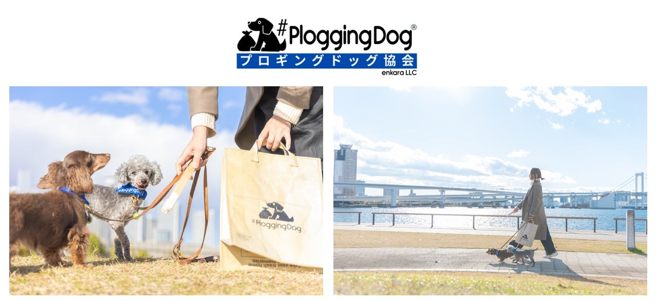 MARINE & WALK YOKOHAMA開業7周年アニバーサリー イベント開催「THE RAINBOW」のサブ画像8
