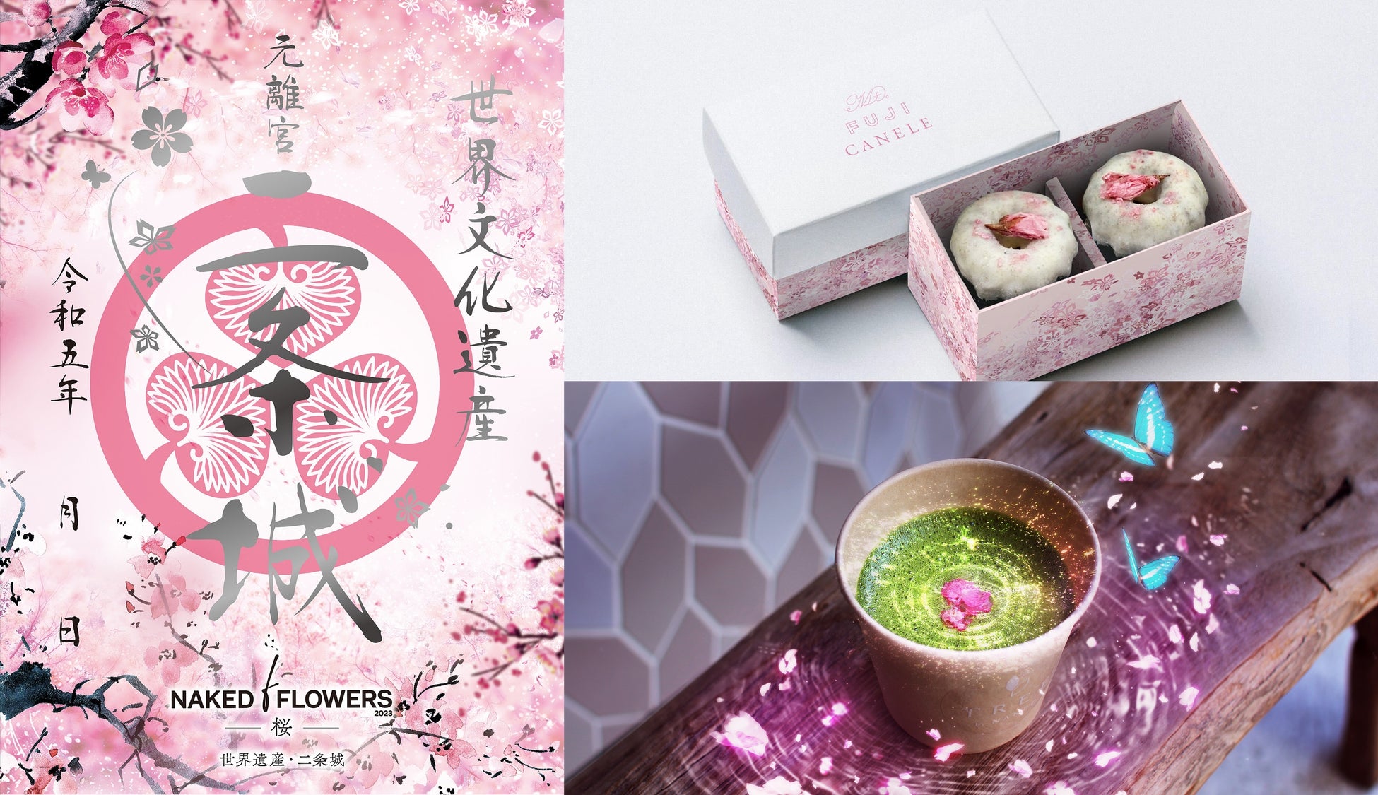 レアな「コラボ入城記念符」も！『NAKED FLOWERS 2023 桜 世界遺産・二条城』コラボ企画を発表のサブ画像1