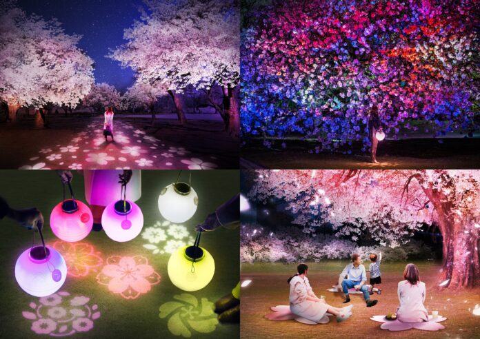 クリーンな電力＆ヴィーガンお花見メニューで、環境にも人にもやさしいお花見のメイン画像