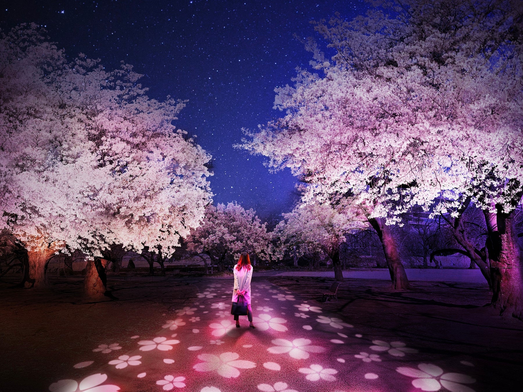 クリーンな電力＆ヴィーガンお花見メニューで、環境にも人にもやさしいお花見のサブ画像10