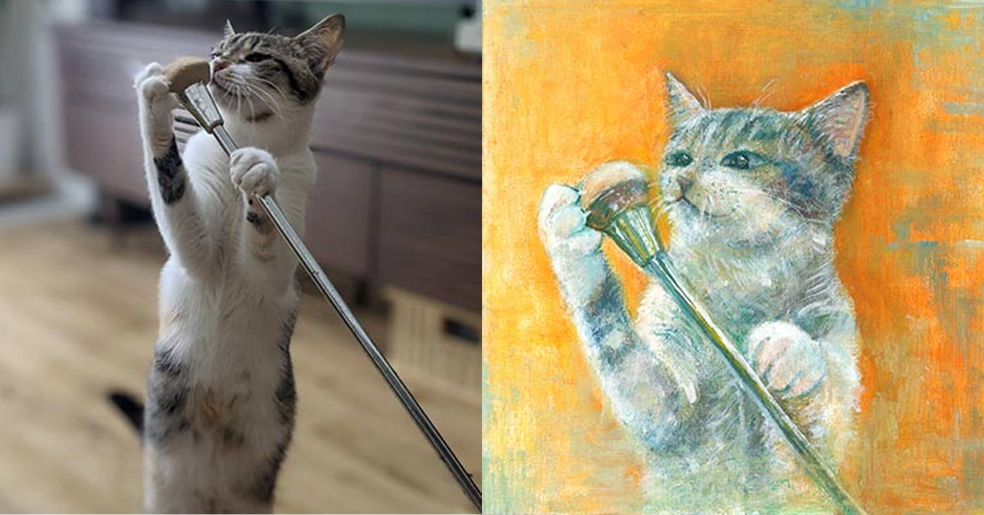 岩手の大学生ボランティアによる、絵を描くことで犬猫の殺処分をなくすプロジェクトのサブ画像2_ネコの名前おと・女の子・2歳9ヶ月