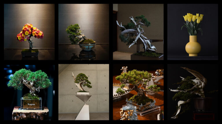 福岡を拠点に世界展開する、盆栽の概念を再構築する盆栽クリエイティブブランド"Scapes"が、東京で初となる個展「OFF TRACK」を9月19日から9月24日まで開催決定！のメイン画像