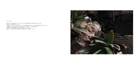 「華」と「間」を操る、熊野寿哉　個展「Reaching into…」を１０月１３日（金）より、５日間だけの限定開催。のサブ画像11