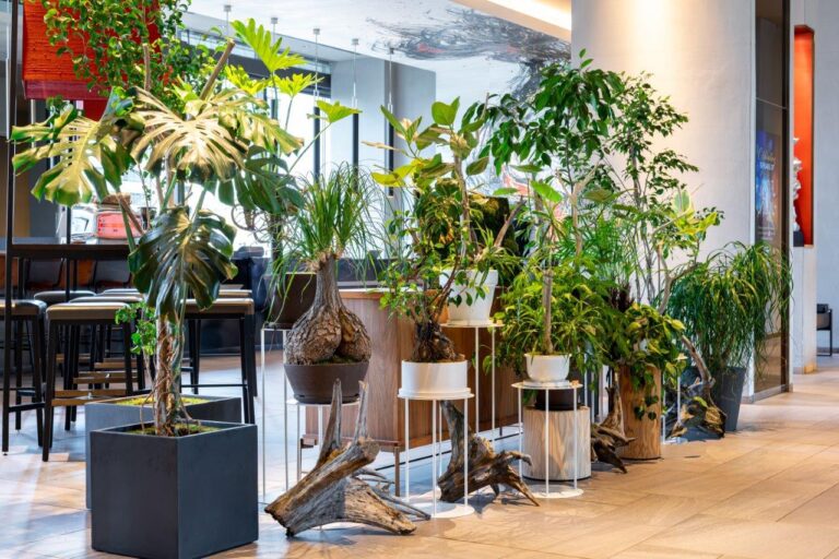 【プルマン東京田町】Reborn Plantsを使用した「PULLMAN BOTANIC GARDEN」を開催【開業5周年記念特別展示】のメイン画像