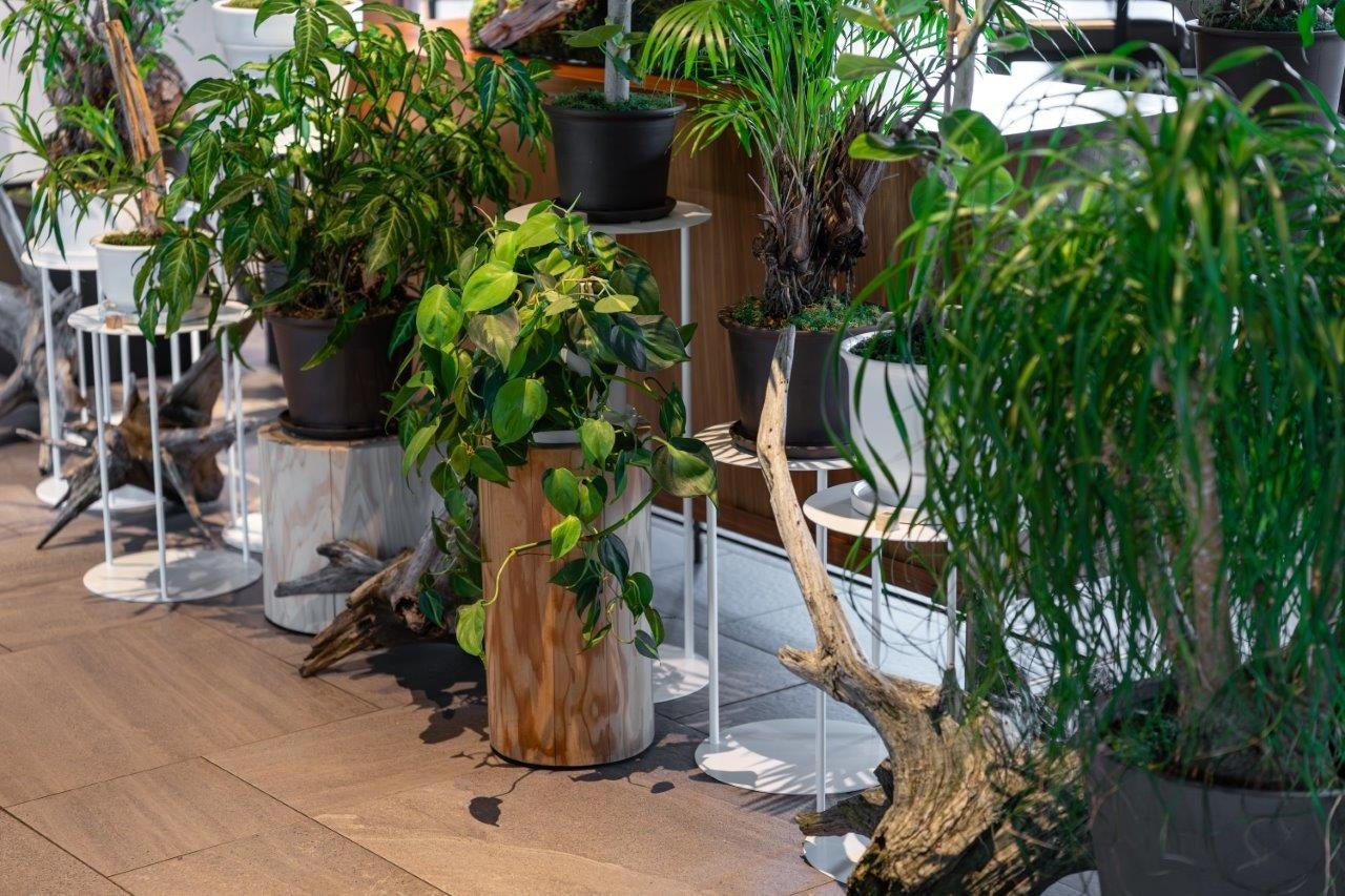 【プルマン東京田町】Reborn Plantsを使用した「PULLMAN BOTANIC GARDEN」を開催【開業5周年記念特別展示】のサブ画像2