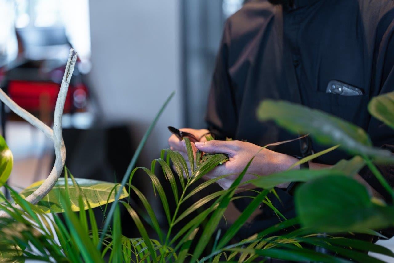 【プルマン東京田町】Reborn Plantsを使用した「PULLMAN BOTANIC GARDEN」を開催【開業5周年記念特別展示】のサブ画像3
