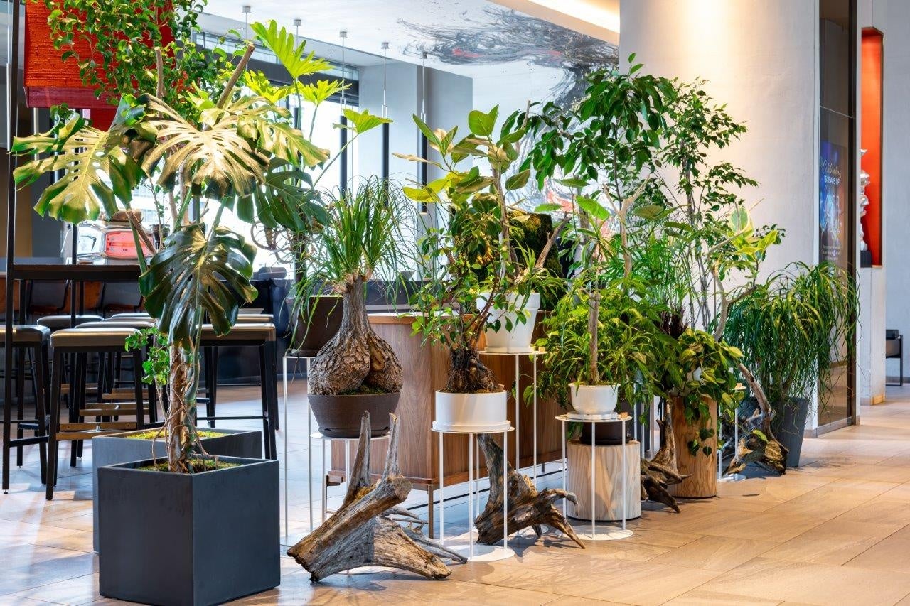 【プルマン東京田町】Reborn Plantsを使用した「PULLMAN BOTANIC GARDEN」を開催【開業5周年記念特別展示】のサブ画像4