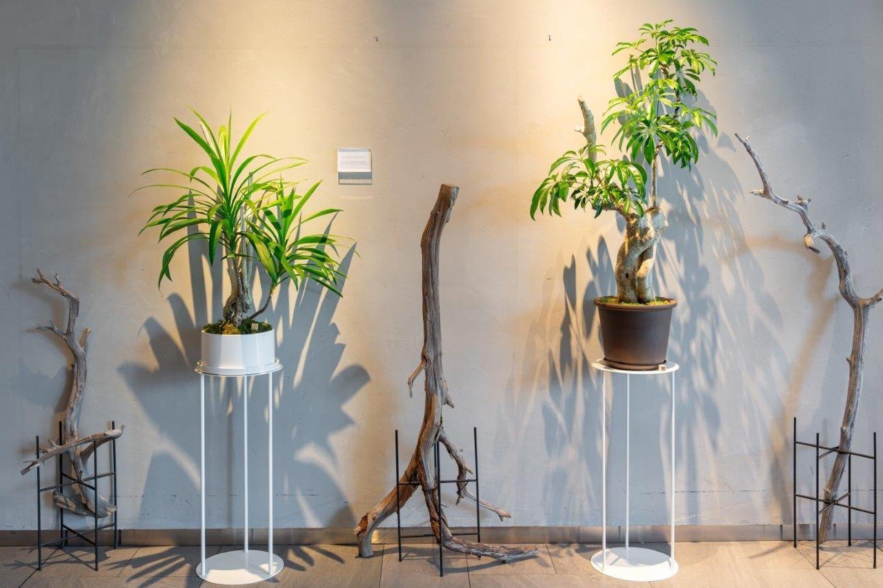 【プルマン東京田町】Reborn Plantsを使用した「PULLMAN BOTANIC GARDEN」を開催【開業5周年記念特別展示】のサブ画像5