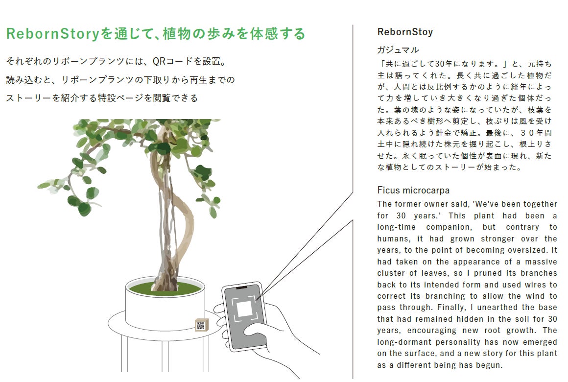 【プルマン東京田町】Reborn Plantsを使用した「PULLMAN BOTANIC GARDEN」を開催【開業5周年記念特別展示】のサブ画像7
