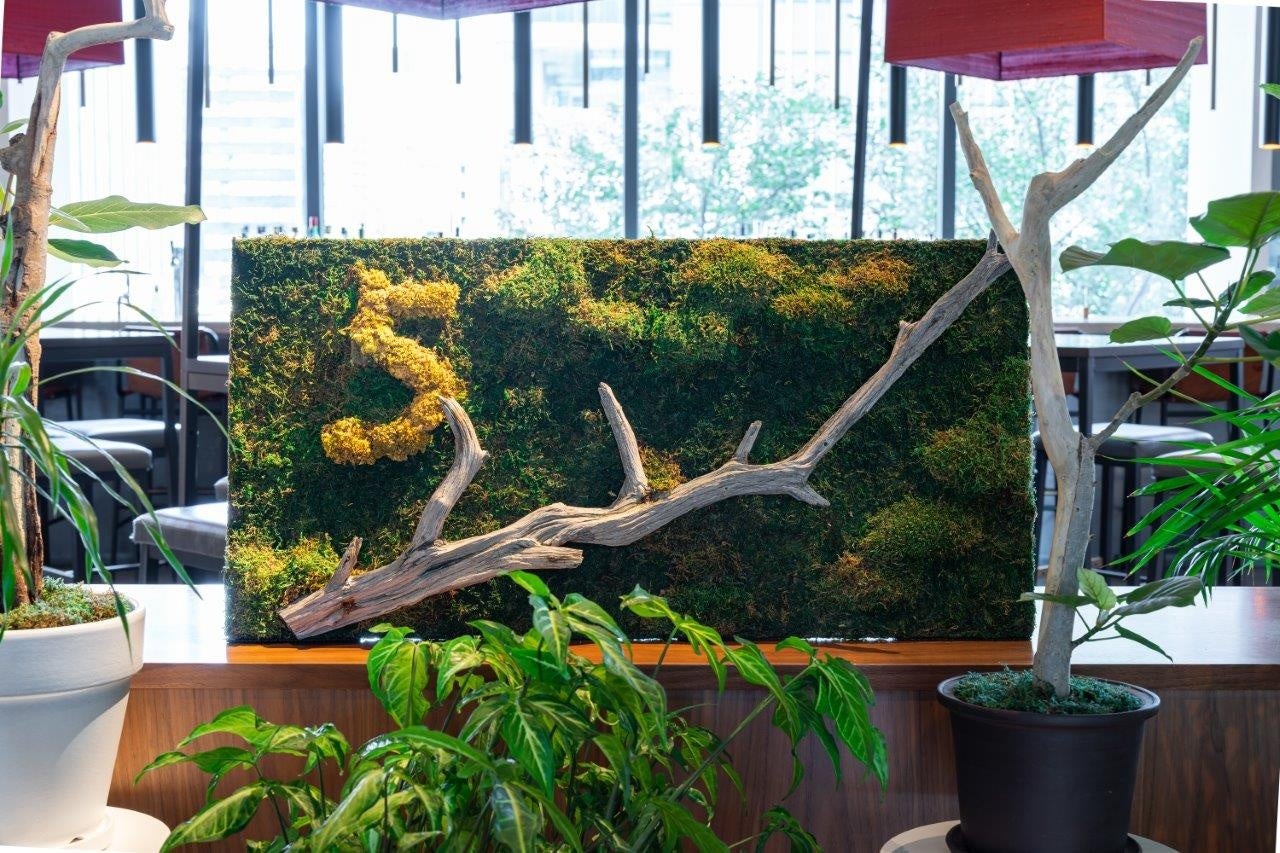【プルマン東京田町】Reborn Plantsを使用した「PULLMAN BOTANIC GARDEN」を開催【開業5周年記念特別展示】のサブ画像8