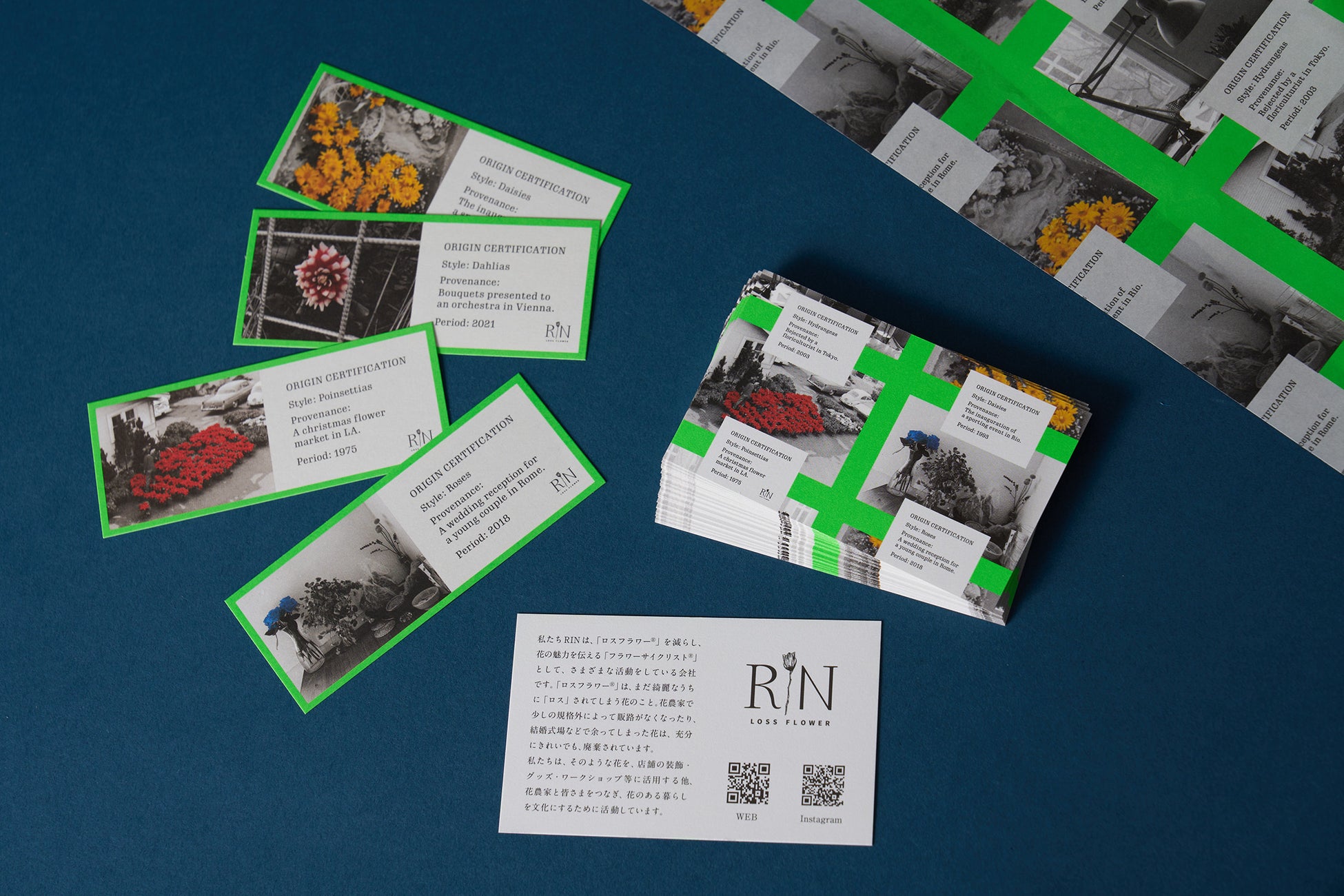 花への思いに共感 RINの新ビジュアルをアートディレクター川上恵莉子氏が担当のサブ画像2