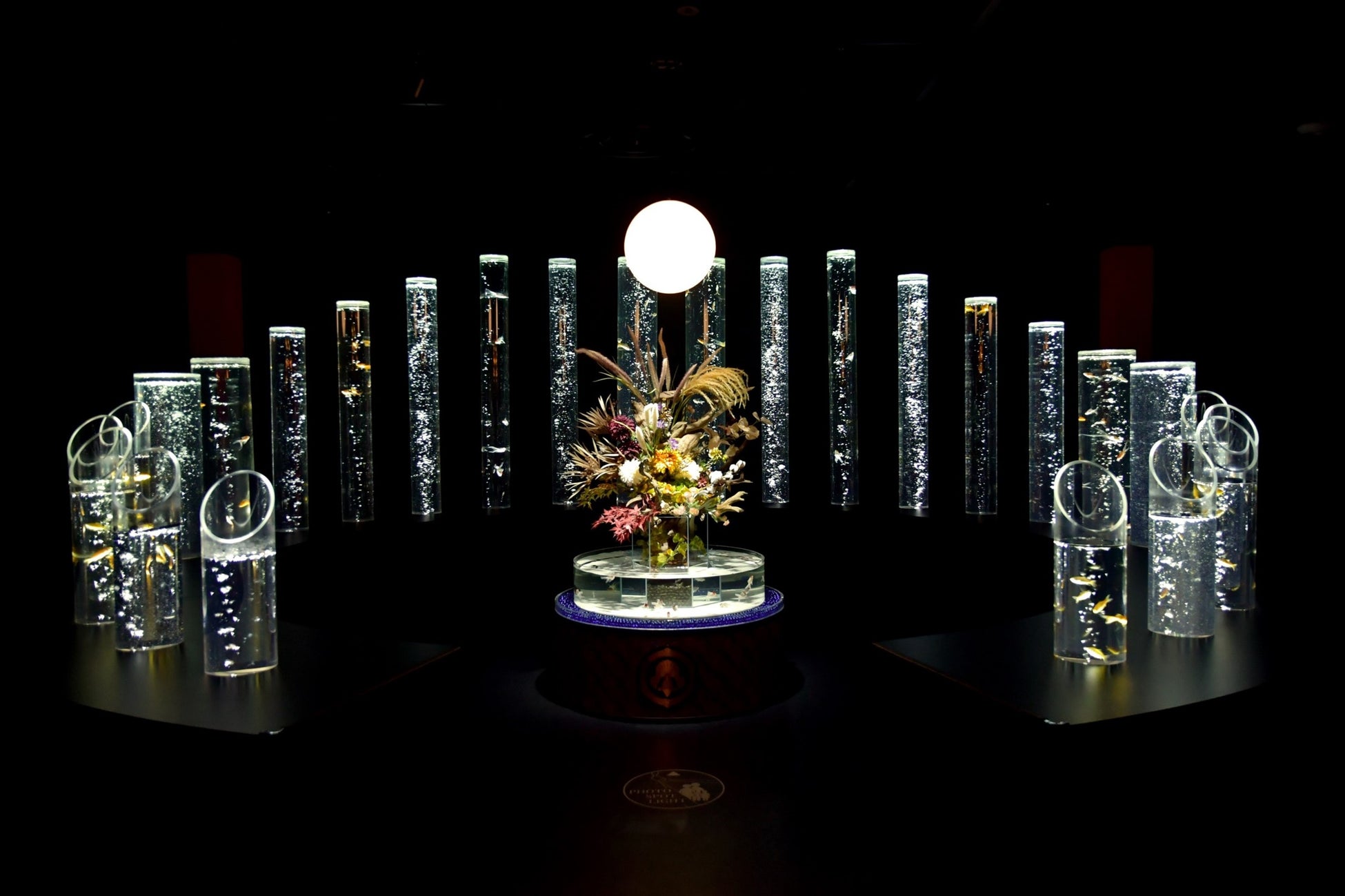 アートアクアリウム美術館 GINZA　秋の企画展　秋の金魚、いとエモし「紅黄葉（もみじ）ざかり」本日9月28日開幕！のサブ画像3