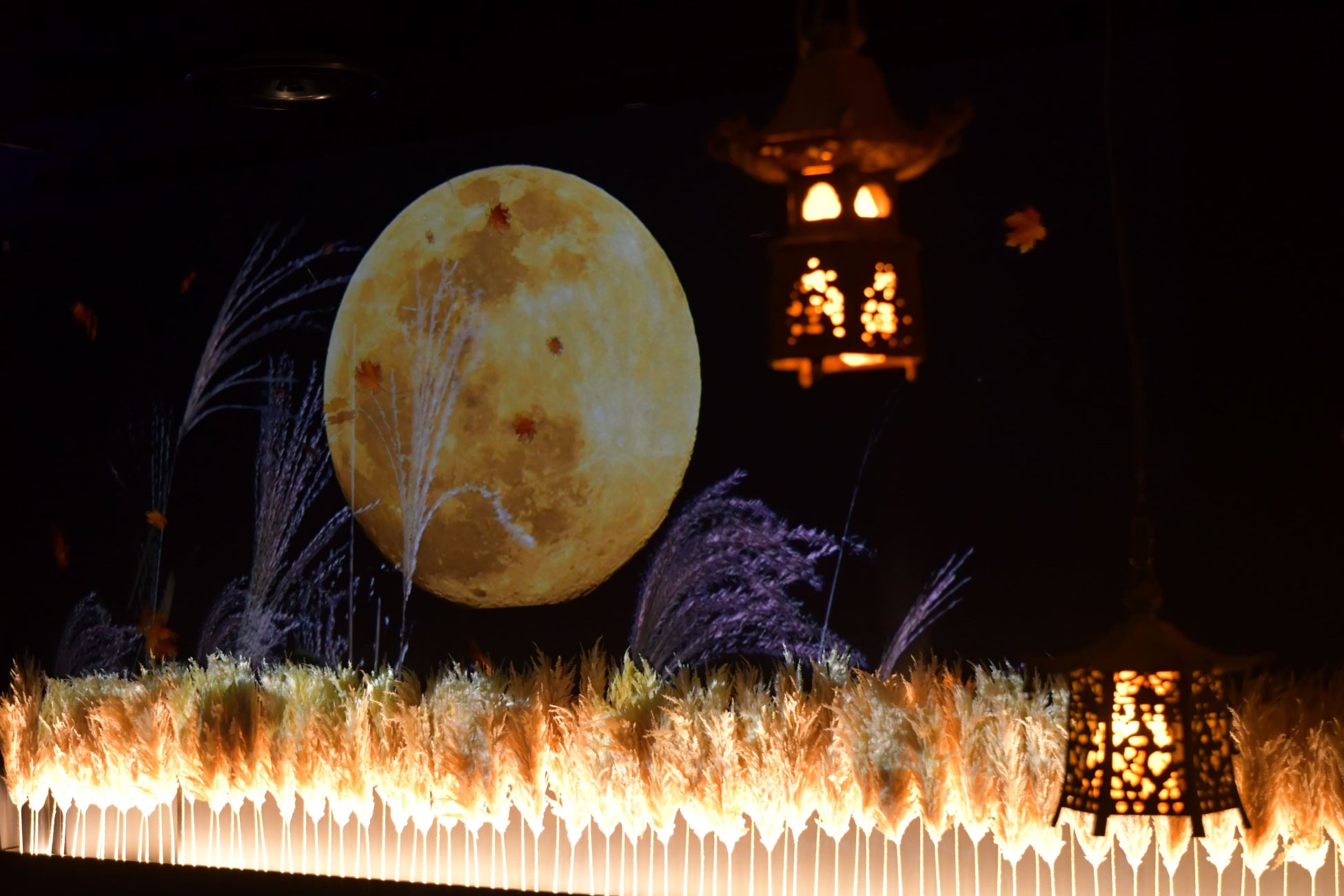 アートアクアリウム美術館 GINZA　秋の企画展　秋の金魚、いとエモし「紅黄葉（もみじ）ざかり」本日9月28日開幕！のサブ画像8