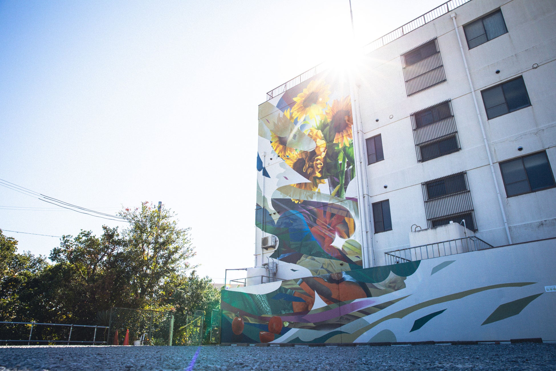 「JAPAN WALLS 2023 in SHIRAHAMA」３度目の連続開催決定！世界のアートカルチャーシーンの一翼を担うアーティストが「和歌山県・白浜町」に集結のサブ画像2
