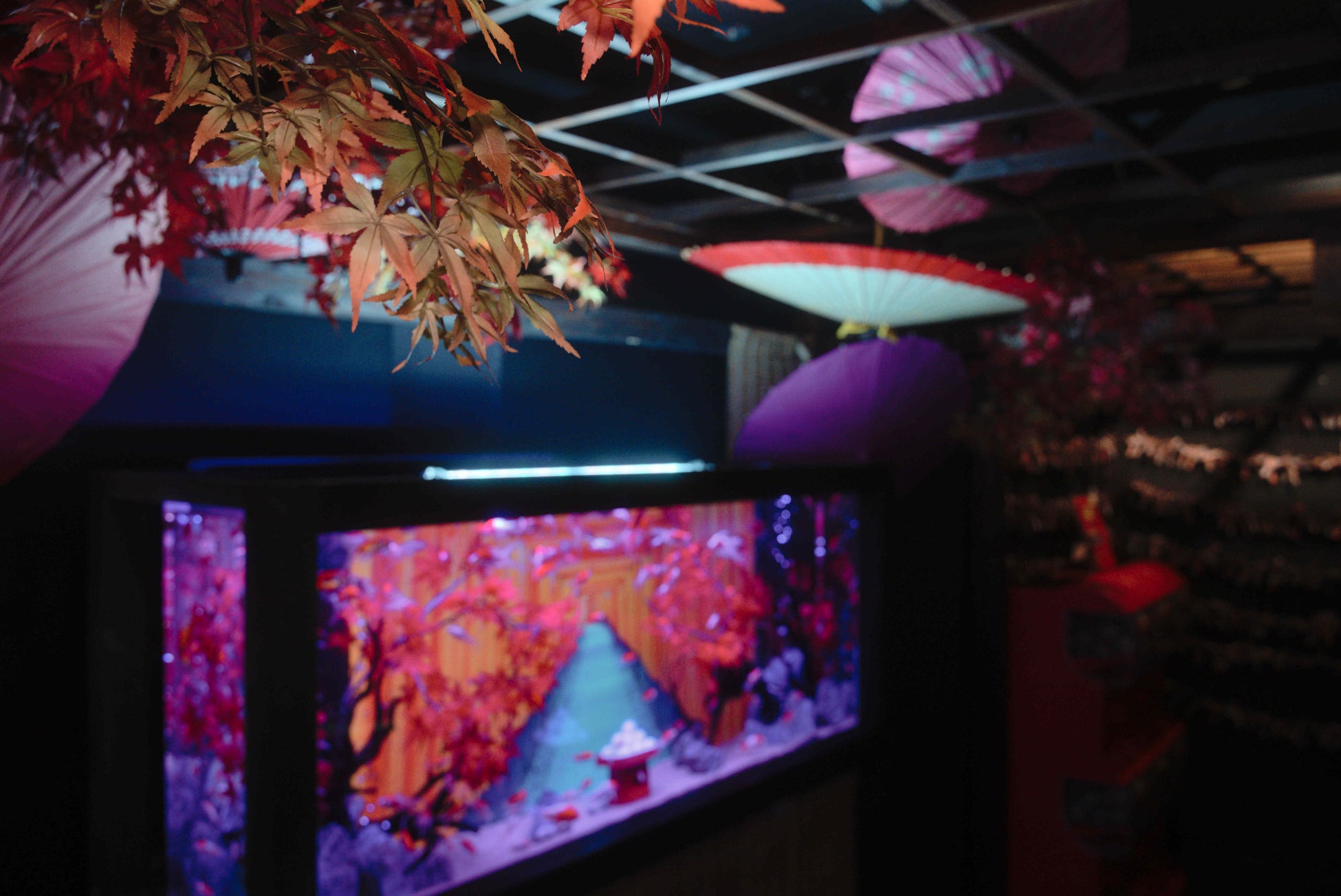 お台場アクアリウムにて ガラス造形アーティスト「生田目礼一」とコラボした特別展「月夜実」が開催！ライティングされたガラスの球体と 色彩豊かな魚たちの調和は 今までにない神秘的な空間を演出のサブ画像7