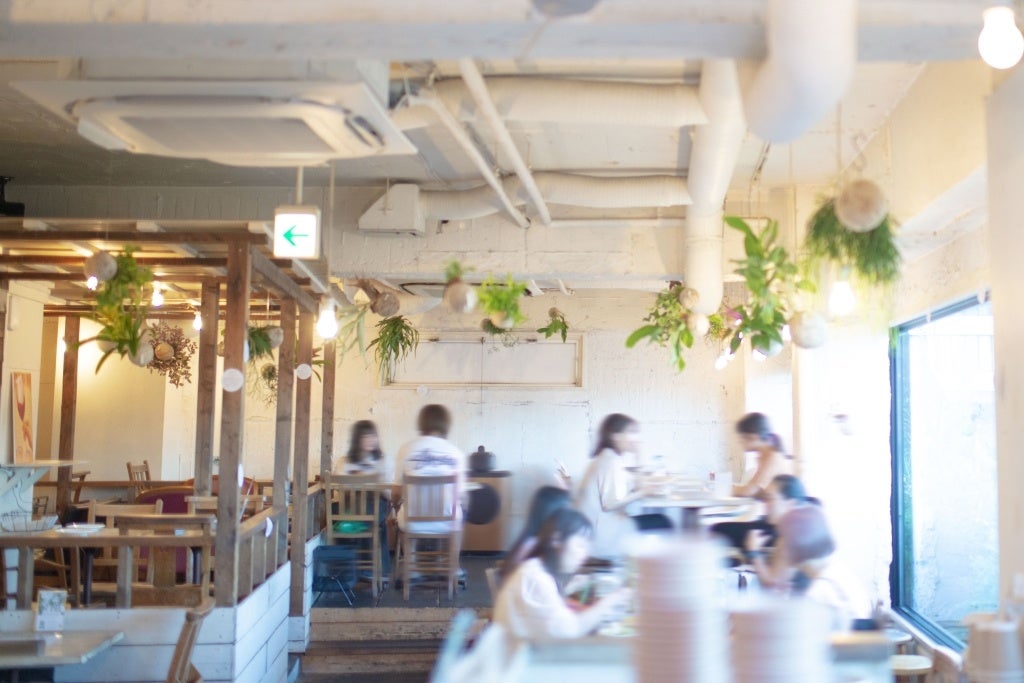 「hangの空中植物園」ワークショップ南青山「A to Z cafe」で2日間限定開催！のサブ画像10