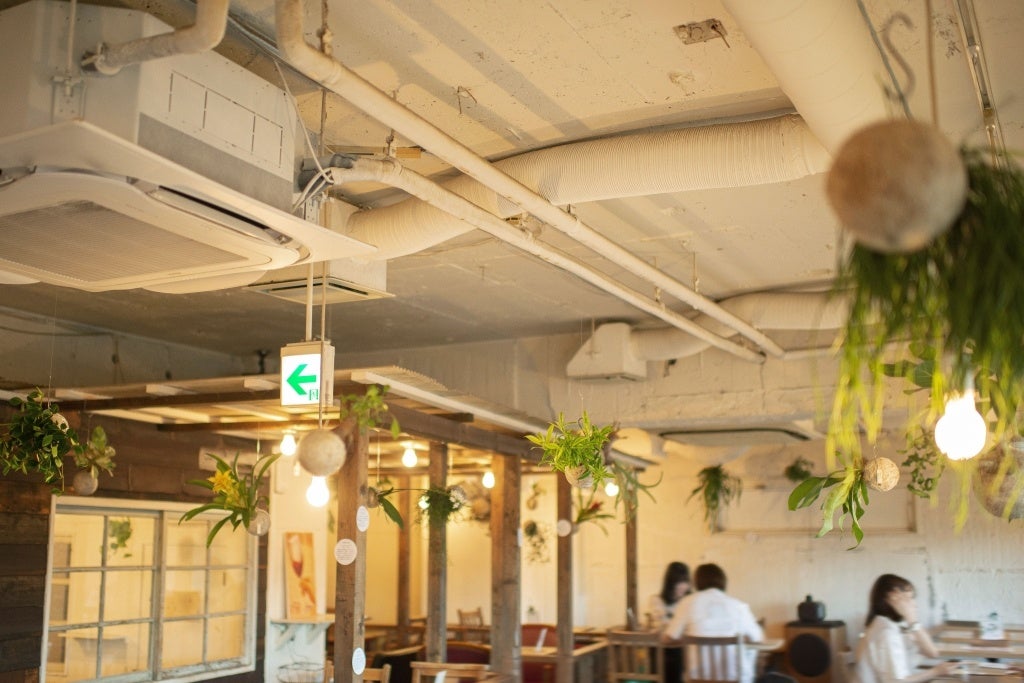 「hangの空中植物園」ワークショップ南青山「A to Z cafe」で2日間限定開催！のサブ画像11